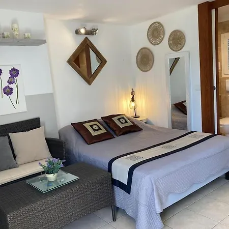 A 200m Du Centre De Vecchio,jardin, Terrasse Parking Prive Tatil Evi