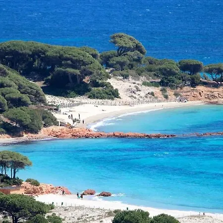 Tatil Evi A 200m Du Centre De Vecchio,jardin, Terrasse Parking Prive *