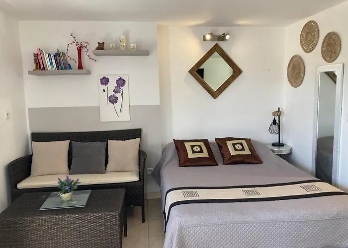 A 200m Du Centre De Vecchio,jardin, Terrasse Parking Prive Tatil Evi