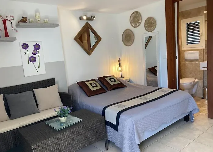 A 200m Du Centre De Vecchio,jardin, Terrasse Parking Prive Tatil Evi