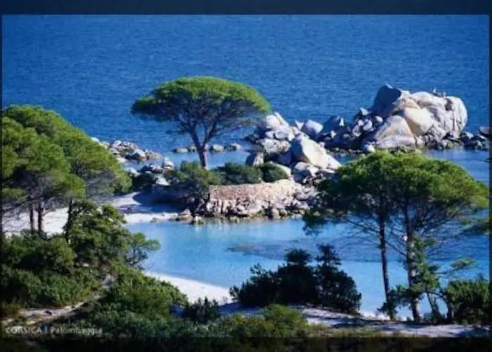 A 200m Du Centre De Vecchio,jardin, Terrasse Parking Prive Tatil Evi