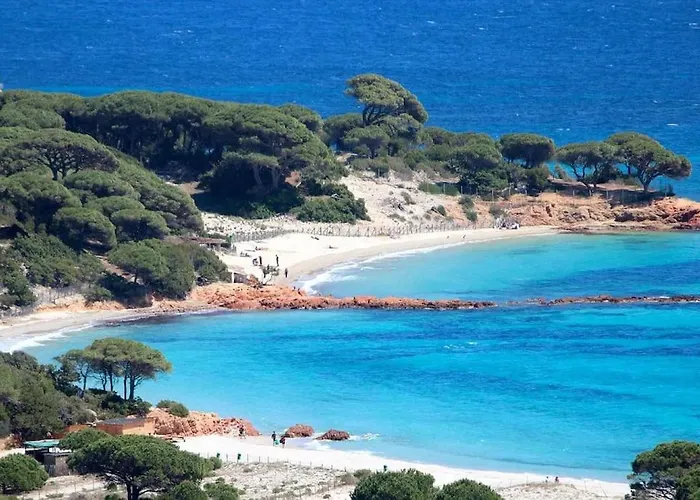 Tatil Evi A 200m Du Centre De Vecchio,jardin, Terrasse Parking Prive *