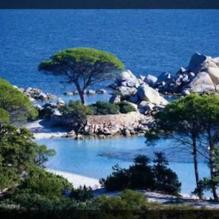 à 200m Du Centre De Vecchio,jardin, Terrasse Parking Privé Casa de Férias