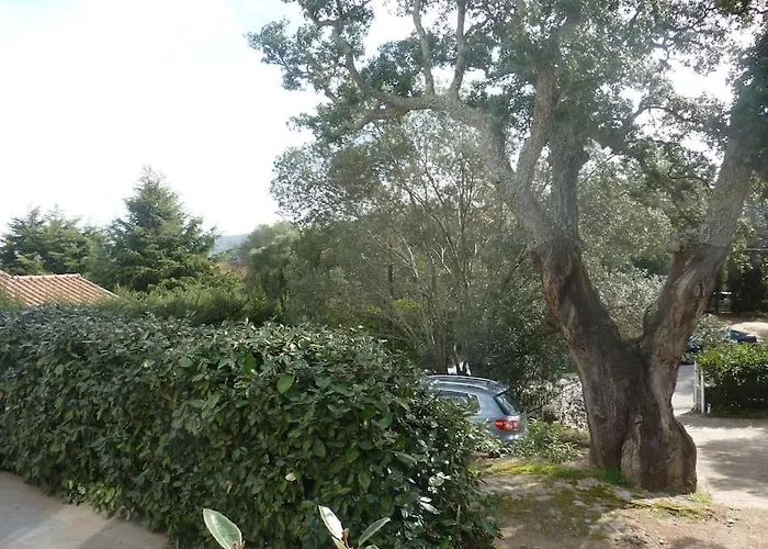 A 200m Du Centre De Vecchio,jardin, Terrasse Parking Prive Semesterbostad Porto-Vecchio (Corsica)