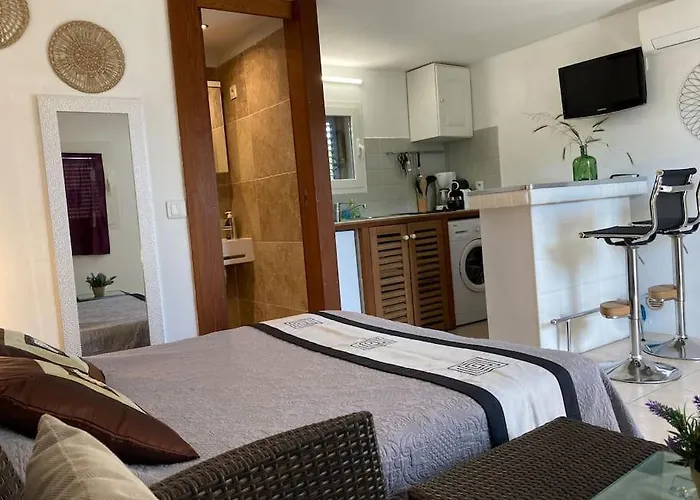 à 200m Du Centre De Vecchio,jardin, Terrasse Parking Privé